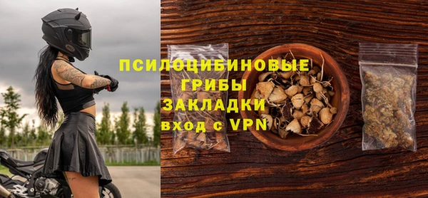 герыч Арсеньев